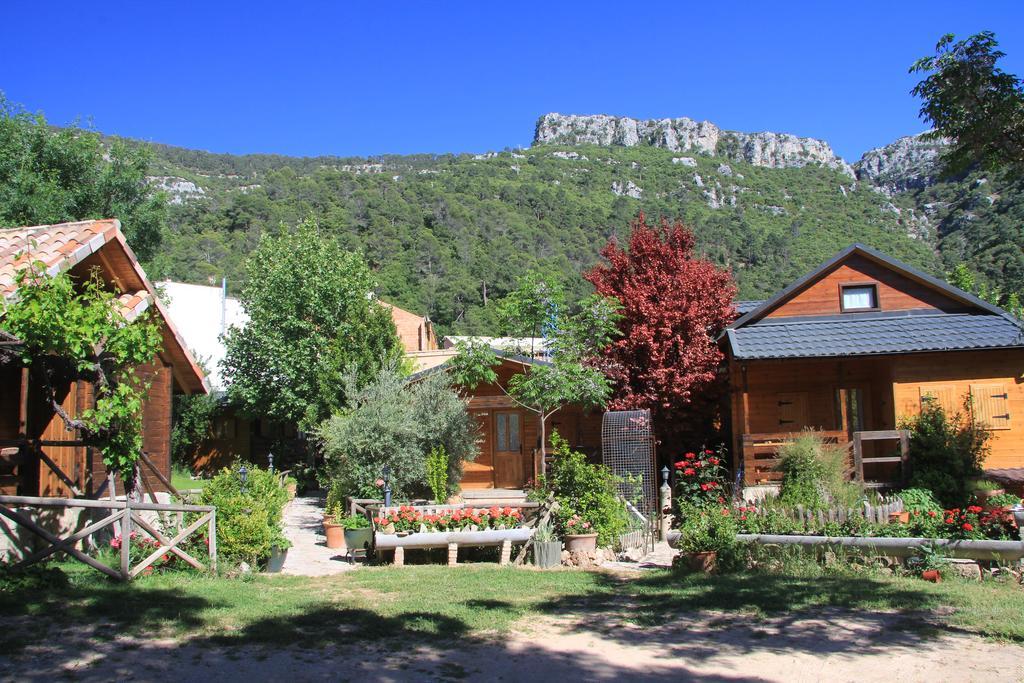 Cabanas Los Pinos Arroyo Frio Exteriér fotografie